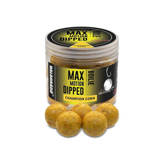 HALDORÁDÓ MAX MOTION BOILIE DIPPED 20MM CHAMPION CORN 80G